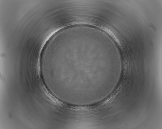 X0000091101076200708061415