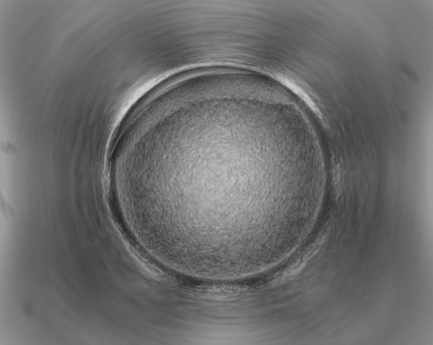 X0000091101077200708061415