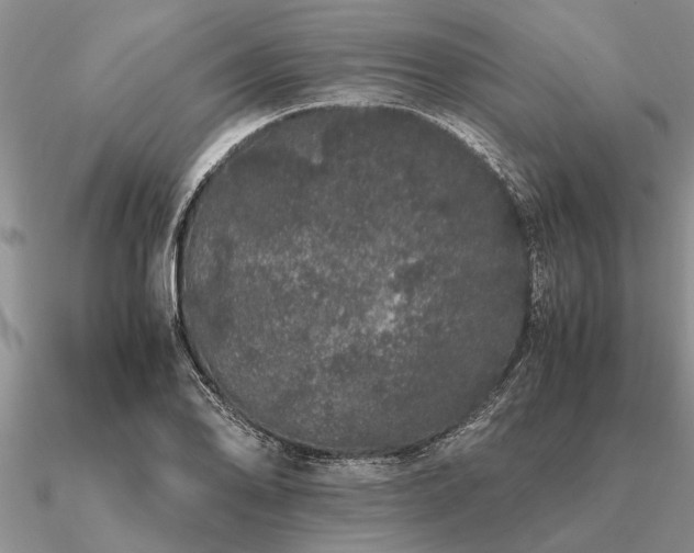 X0000091101078200708061415