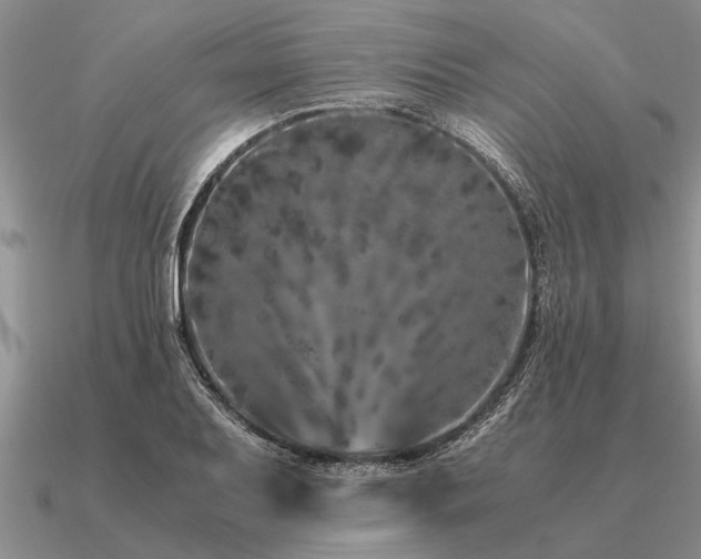 X0000091101079200708061415