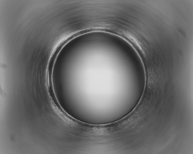 X0000091101080200708061415