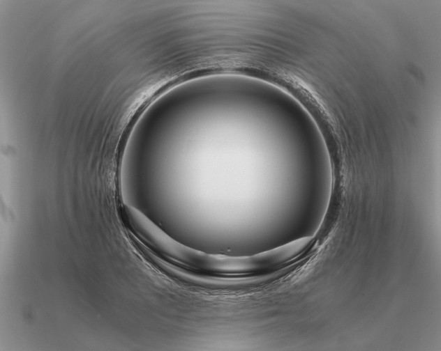 X0000091101081200708061415