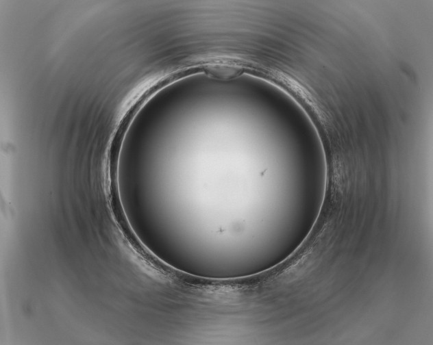 X0000091101082200708061415