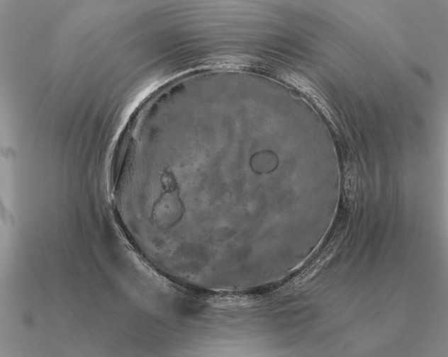 X0000091101083200708061415