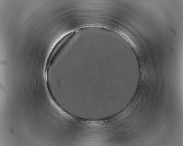 X0000091101084200708061415