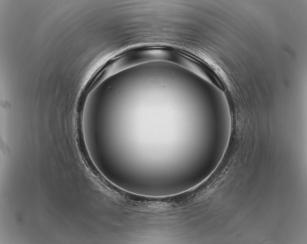 X0000091101085200708061415