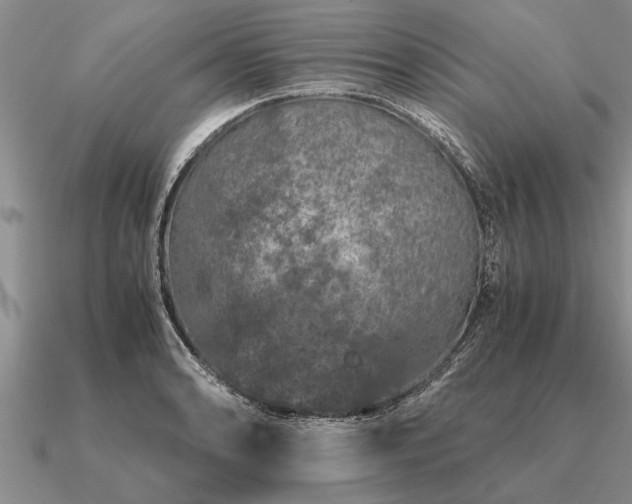 X0000091101086200708061415