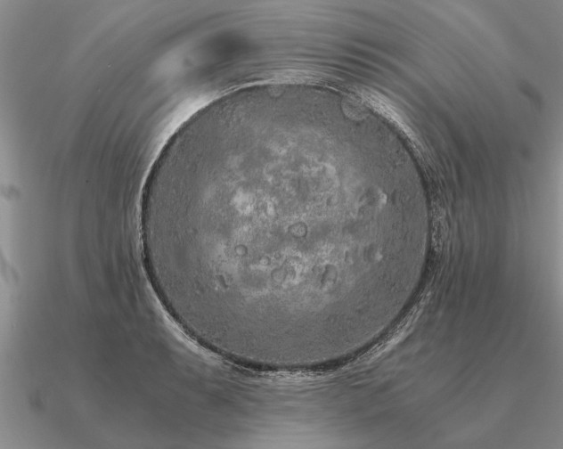 X0000091101087200708061415