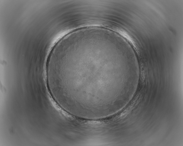 X0000091101088200708061415