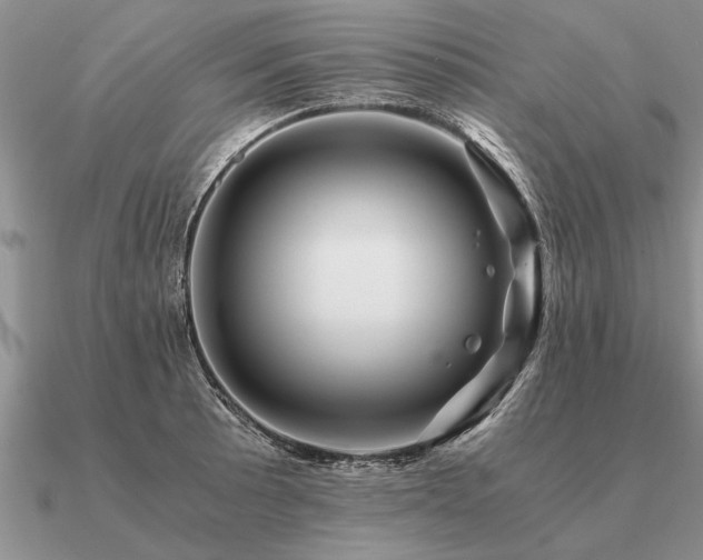 X0000091101089200708061415