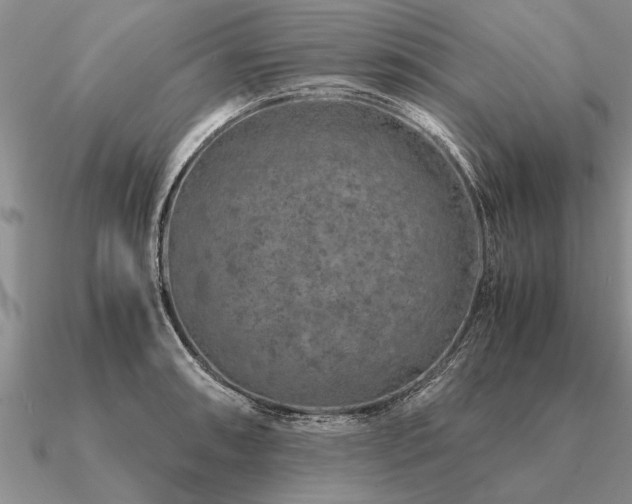 X0000091101090200708061415