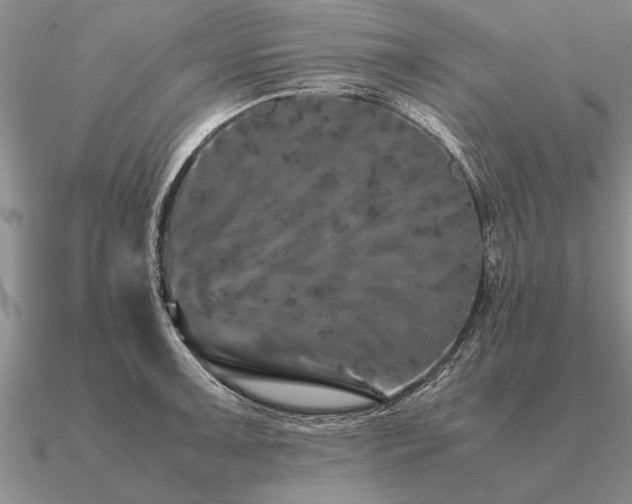 X0000091101091200708061415