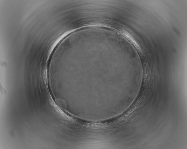 X0000091101092200708061414