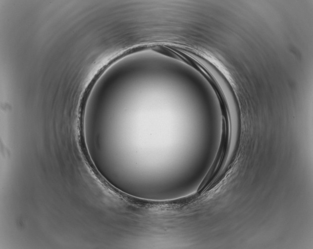 X0000091101093200708061414