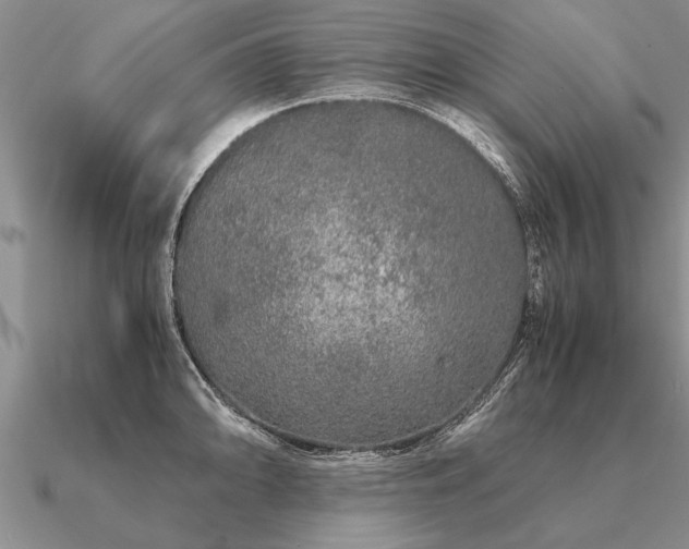 X0000091101094200708061414