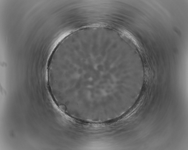 X0000091101095200708061414