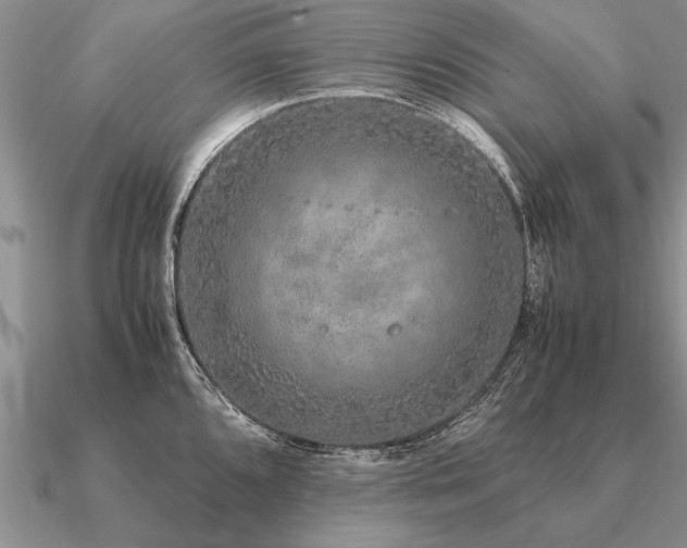 X0000091101096200708061414