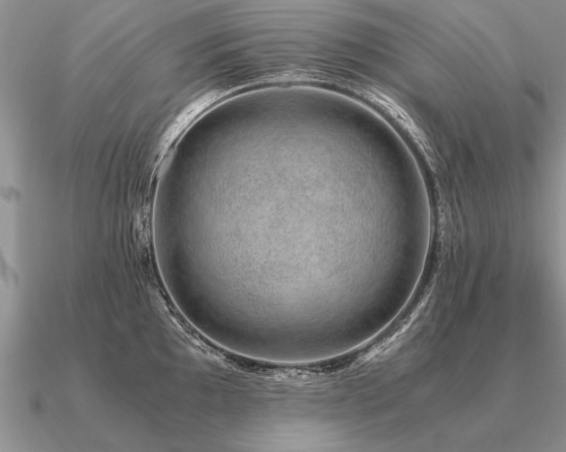 X0000091101097200708061414