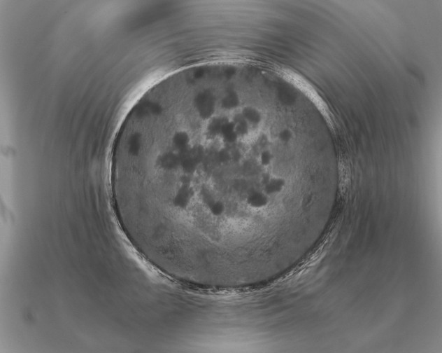 X0000091101099200708061414