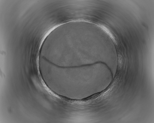 X0000091101100200708061414