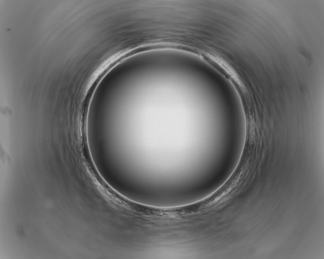 X0000091101101200708061414