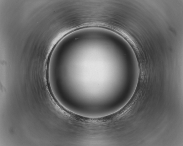 X0000091101102200708061414