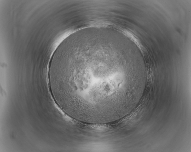 X0000091101103200708061414