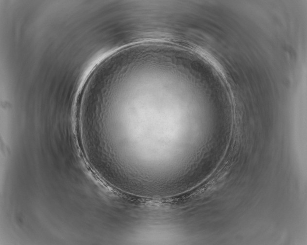 X0000091101104200708061414