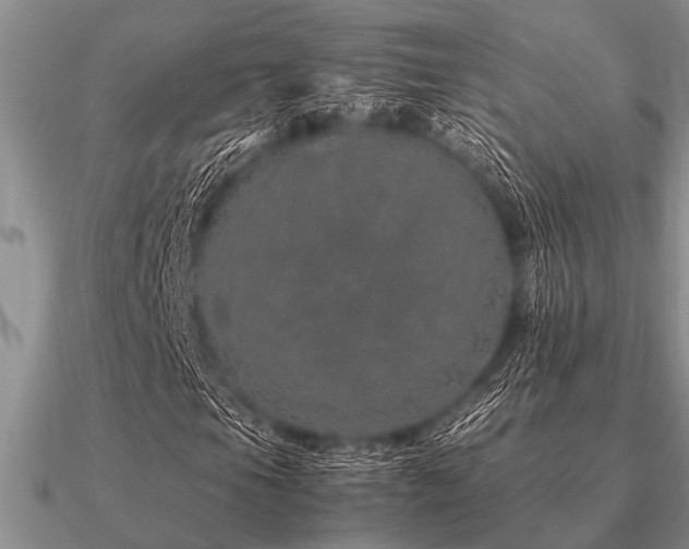 X0000091101105200708061414