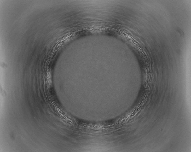 X0000091101106200708061414