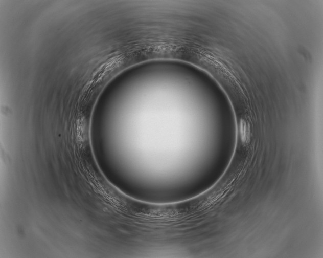 X0000091101107200708061414