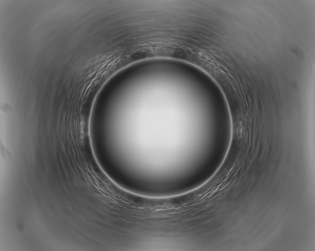 X0000091101108200708061414