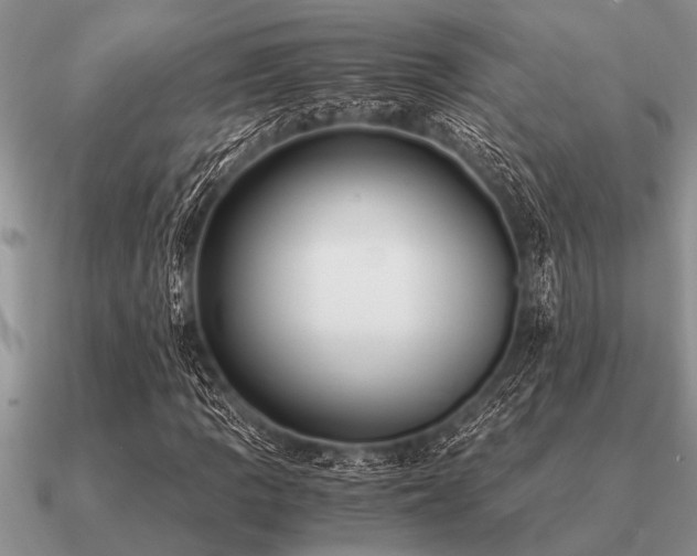 X0000091101109200708061414