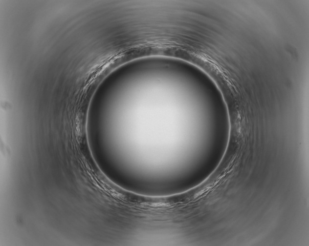 X0000091101110200708061414