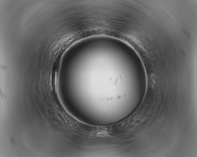 X0000091101111200708061414