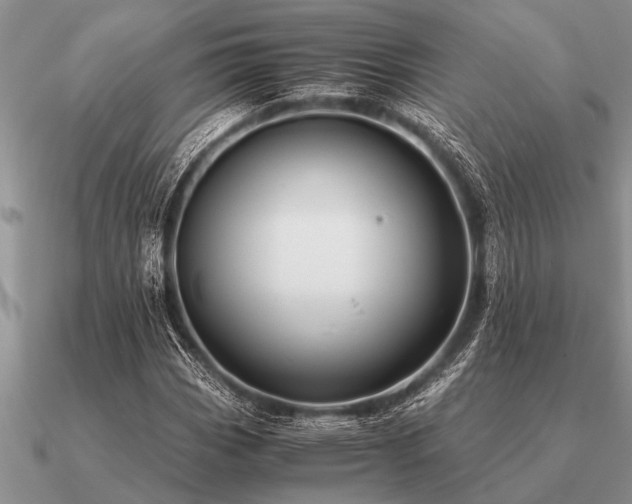 X0000091101113200708061414