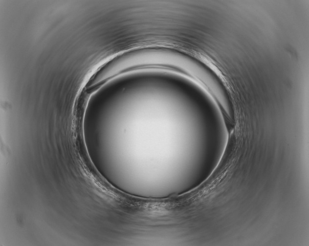 X0000091101116200708061414