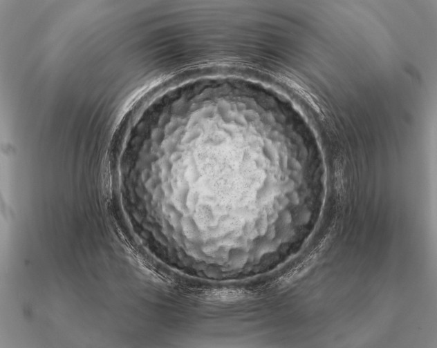 X0000091101117200708061414