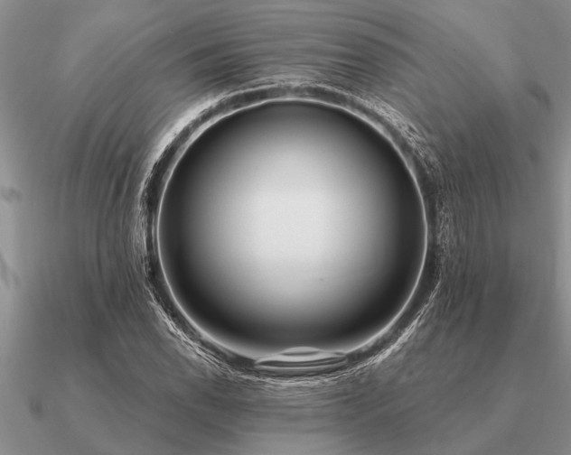 X0000091101118200708061414