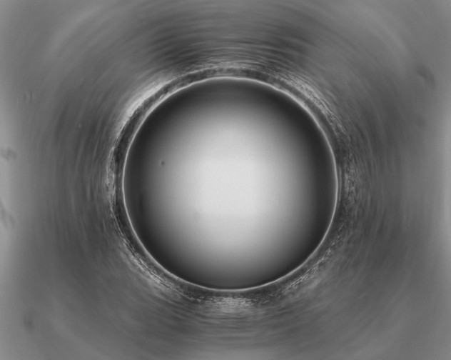 X0000091101119200708061414