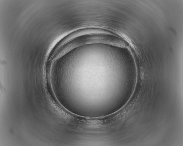 X0000091101120200708061414