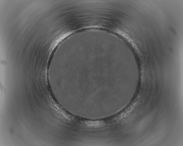 X0000091101121200708061414