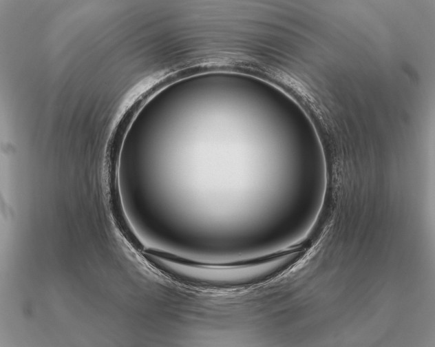 X0000091101122200708061414