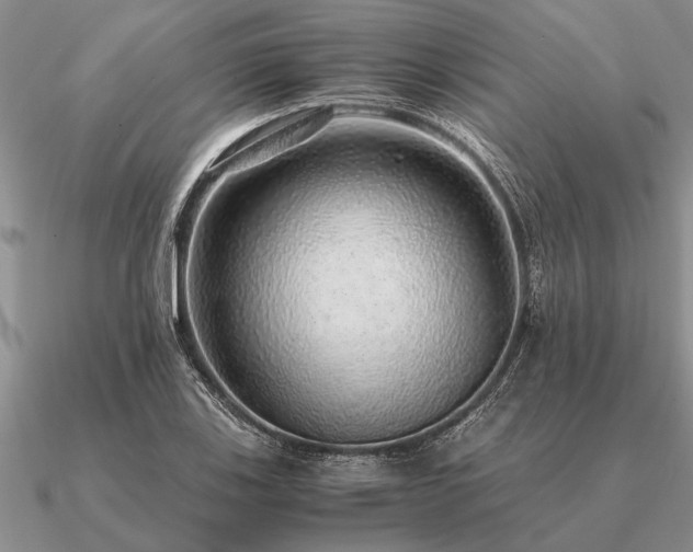 X0000091101123200708061414