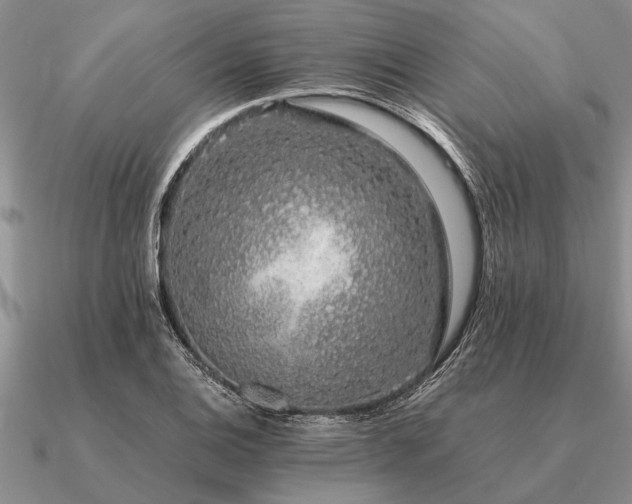 X0000091101124200708061414