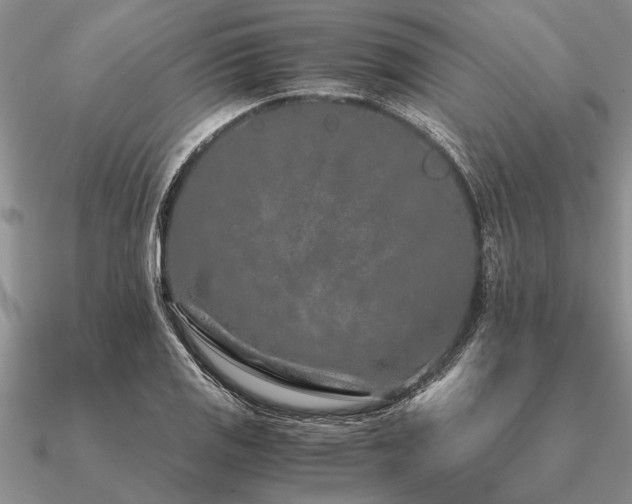 X0000091101125200708061414