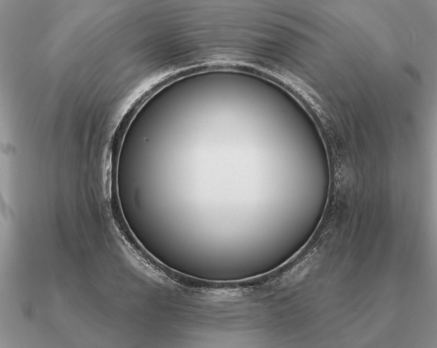 X0000091101126200708061414