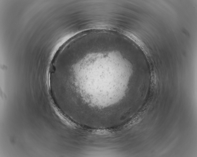 X0000091101128200708061414