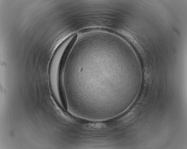 X0000091101129200708061414