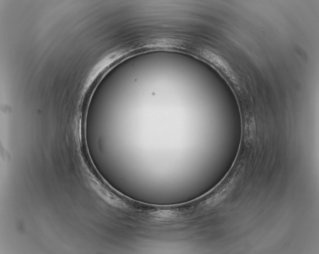 X0000091101130200708061414